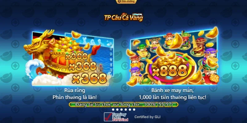 Câu cá vàng và thông tin về loại hình 